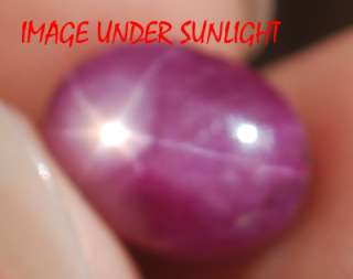 20 Ct NATURAL UNTREATED BEAUTIFUL STAR RUBY {VIDEO}  