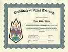 get smart certificate of kaos agent training 