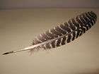 Turkey Wing Quill Feather Dip Ink Pen 14 Inch New