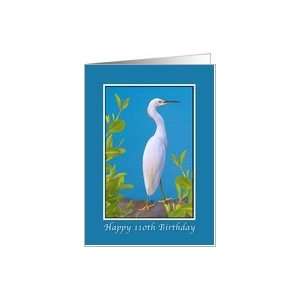  Birthday, 110th, Snowy Egret Bird Card Toys & Games