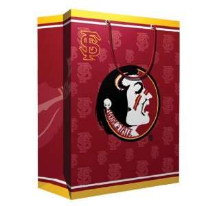   Gift Bag (9.75 Tall) by Pro Specialties Group