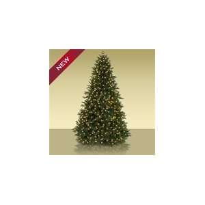 On Sale 7 Saratoga Spruce Realistic Christmas Tree with Multicolored 
