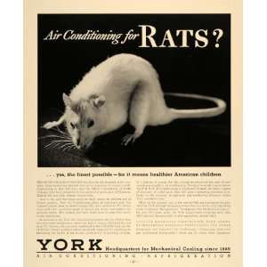 1936 Ad York Ice Machinery Air Conditioning White Rat   Original Print 