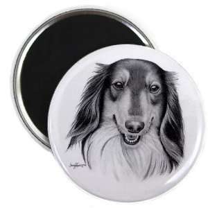  Creative Clam Collie Lassie Dog Pencil Sketch Art 2.25 