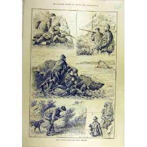   1887 Rough Shooting Cliffs Penzance Wild Pigeons Print