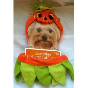 Pumpkin Dog Costume Hat and Ruff 