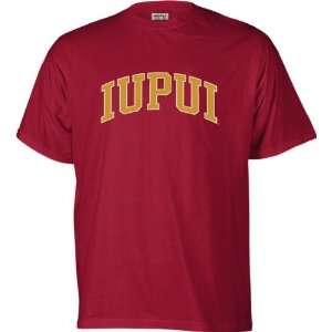  IUPUI Jaguars Perennial T Shirt