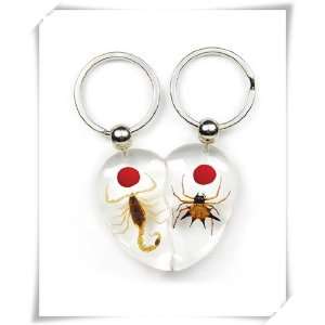  Scorpion and Spider Couples Keychains (Clear, Set of 2 