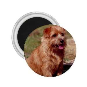 Norfolk Terrier 2.25in Magnet R0734