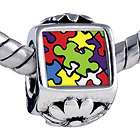 PUGSTER WORD AUTISM CHARM PHOTO BEAD BRACELET A99