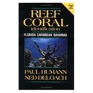  Reef Coral Identification Florida, Caribbean, Bahamas (Reef 