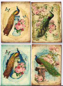   inspired peacock on pillars cards tags ATC altered art set of 8  