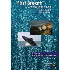   First Breath Harbor Seals & Gray Whales Lunchbox Lessons Movies & TV