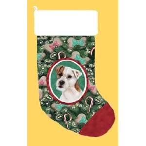  Jack Russell Terrier Wire Brown White Half Mask Christmas 