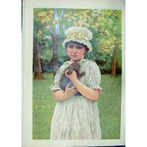  1886 COLOUR PRINT LITTLE GIRL RABBIT IN THE ORCHARD