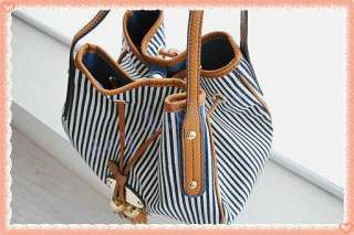 Brand New Stripe Special Design Fashionable Womens Handbag IT BAG 317 