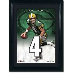  NFL Jersey Numbers Collection Green Bay Packers   Brett 