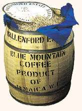 lb Wallenford Estate Jamaica Blue Mountain Coffee  