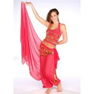 Belly Dancer Costume Set Chiffon Harem Pants, Top, Veil & Hip Scarf