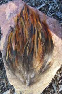 FURNACE HACKLE FEATHER PAD ALL NATURAL COLORS LOW SHIP  