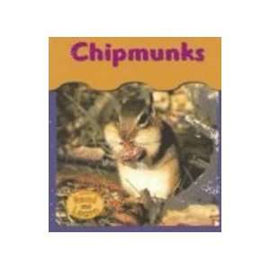  Chipmunks (Under My Feet) (9781403443281) Patricia 