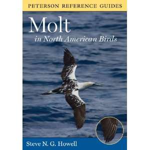  Molt in North America Birds Patio, Lawn & Garden