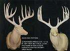Unfinished Jacobs Whitetail replica Antlers over 200 B&C ANTLER 