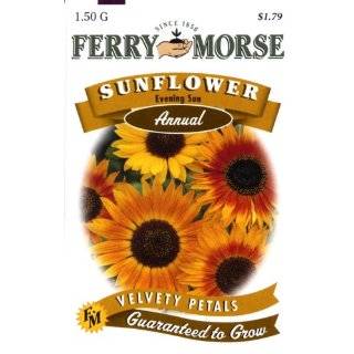 Ferry Morse 1501 Sunflower Annual Flower Seeds, Evening Sun (1.5 Gram 