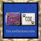dog charm cdx w paw print purple bg 9mm italian