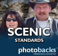 Scenic Standards DIGITAL BACKDROPS BACKGROUNDS Beauty  