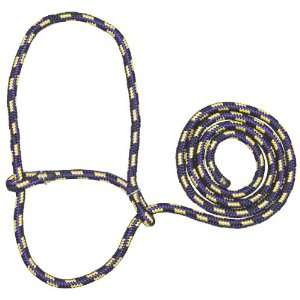  Rope Sheep Halter   72 no snap Purple/Yellow/Black