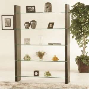    DM W285 80 Inch Glass Bookcase or Room Divider