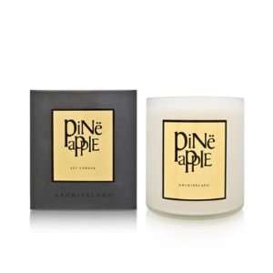   Botanicals AB Home Soy Candles Pineapple (Discontinued) Beauty