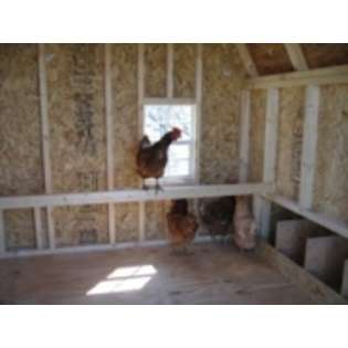 Gambrel Barn Chicken Coop Panelized Kit  Little Cottage Co. Pet 