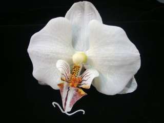 White Realistic Phalaenopsis Orchid Flower Hair Clip  
