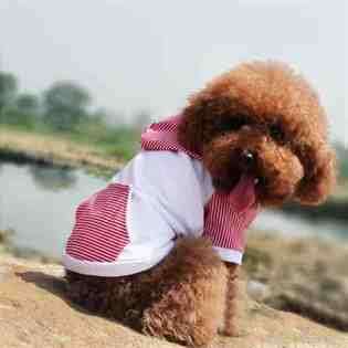   Pet Clothes & Fashion Dog Style SIZE XS SZ18 A010 XS~RED 