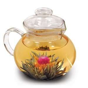  Glass Teapot/Infuser, Tea , units (pack of 4 ) Health 