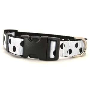   & White Posh Dot Dog Collar 1 wide, adjusts 10 14