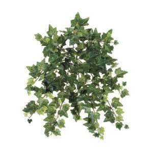   Ivy Hanging Bush x10 w/193 Lvs. Green (Pack of 12)