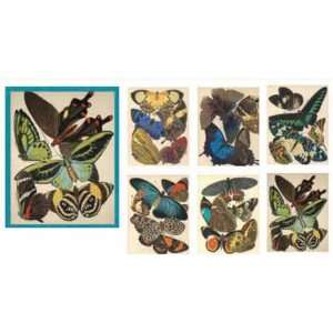  The Metropolitan Museum of Art, Seguy Butterflies Boxed 