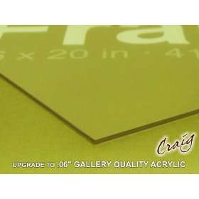 com 20x27 Acrylic for Picture Frame Poster Frame .06 Gallery Quality 