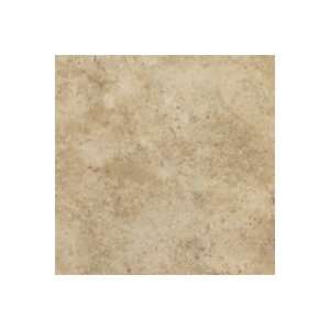 Armstrong Flooring TP509 Natural Creations Luxury Vinyl Tile Earthcuts 