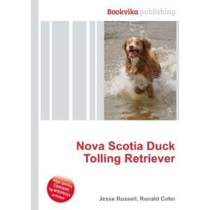  Nova Scotia Duck Tolling Retriever Ronald Cohn Jesse 