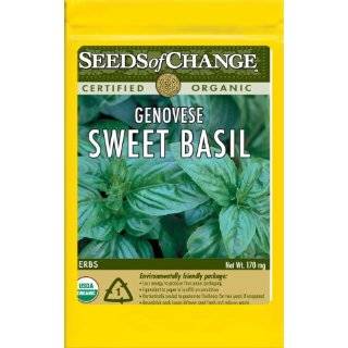 Seeds of Change S10848 Certified Organic Holy Basil, 200 Seed 