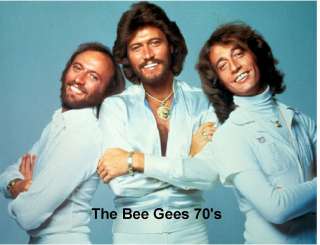 Bee Gees in White Refrigerator & Tool Box Magnet  
