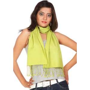 Moss Green Silk Pashmina Scarf from Nepal   70% Pashmina Wool with 30% 
