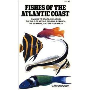  Fishes of the Atlantic Coast Canada to Brazil, Including 