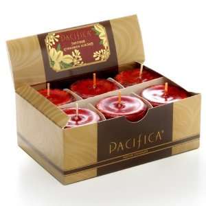  Pacifica Zanzibar Cinnamon Almond Votive Six Pack Health 