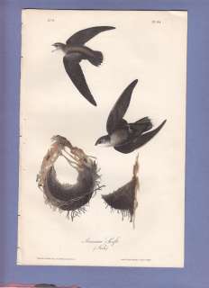   Of America Lithograph Print 1st Ed 1840 AMERICAN SWIFT 44  