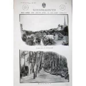  1907 Bournemouth Upper Gardens West Cliff Invalid Pine 
